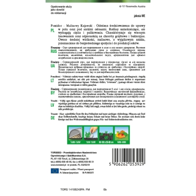 Pomidor Malinowy Kujawski odporny Torseed